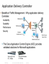 ACE Deployment in an Application Environment