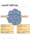 Advanced Topics in IP Multicast Deployment BRKIPM 2008