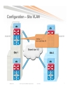 Advanced OTV Configure Verify and Troubleshoot OTV in your network