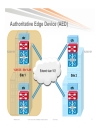 Advanced OTV Configure Verify and Troubleshoot OTV in your network