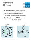 Advanced Scaling for Core and Edge Networks