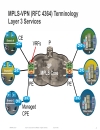 Design Considerations for Service Provider MPLS Solutions