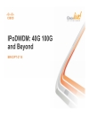 IPoDWDM 40G 100G and Beyond