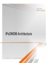 IPoDWDM 40G 100G and Beyond