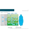 CCNP BSCI Quick Reference Sheet