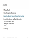 Securing Cloud Computing