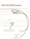 L3 VPN PE CE Operation and Deployment