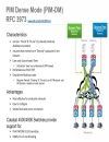 Catalyst 4500 4900 IP Multicast Architecture