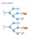 Catalyst 4500 4900 IP Multicast Architecture