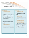 Designing NGN SP Enterprise Networks for Scale and Reliability