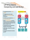 Designing NGN SP Enterprise Networks for Scale and Reliability