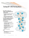 Designing NGN SP Enterprise Networks for Scale and Reliability