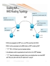 Designing NGN SP Enterprise Networks for Scale and Reliability