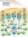 A New Approach to Call Routing and Dal Plans Based on the Service Advertisement Framework SAF