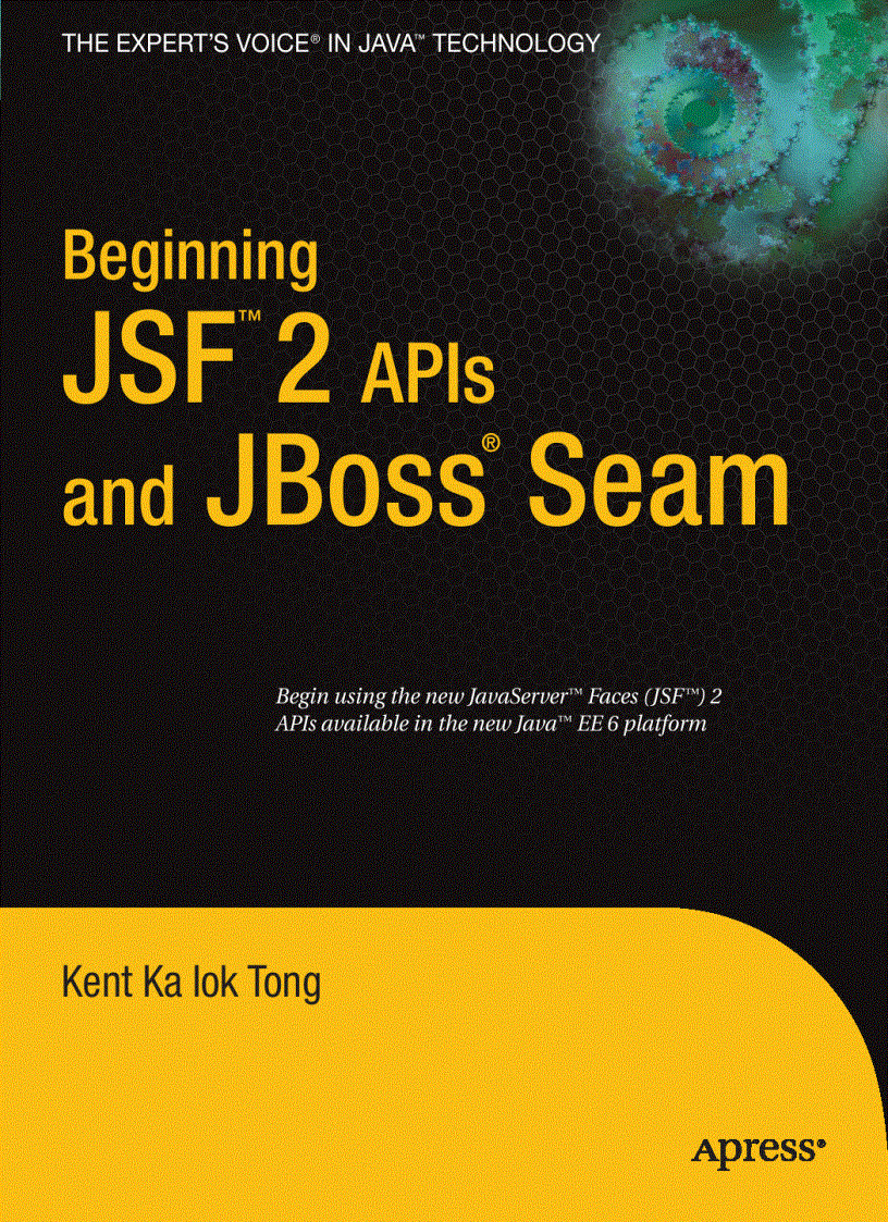 Beginning JSF 2 APIs and JBoss Seam