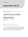 Beginning JSF 2 APIs and JBoss Seam