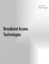 Deploying Rich Media Services over Broadband Access Networks