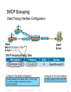 LAN Design and Deployment Using the Cisco Smart Business Architecture