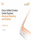 Cisco Unified Contact Center Express Advanced Reporting and Scripting