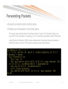 A CCIE s Introduction to MPLS Networks