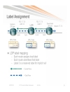 A CCIE s Introduction to MPLS Networks