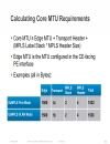 Minimizing the Risks With Enterprise Multi Site Data Center L2 Connectivity