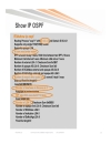 Troubleshooting OSPF