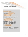 Troubleshooting OSPF