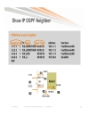 Troubleshooting OSPF