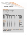 Troubleshooting OSPF