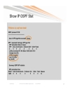 Troubleshooting OSPF