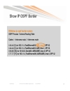 Troubleshooting OSPF