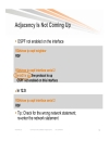 Troubleshooting OSPF