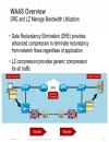 WAN Architectures and Design Principles