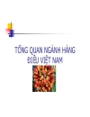 Năng lực cạnh tranh của ngành điều việt nam