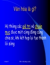 Môi trường văn hóa