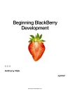 Beginning BlackBerry Development