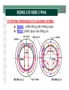 Kỹ thuật điện Động cơ không đồng bộ 3 pha