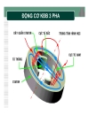 Kỹ thuật điện Động cơ không đồng bộ 3 pha