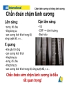 Chậm liền xương không liền xương Hội thảo AO Việt Nam 2009