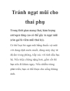 Tránh ngạt mũi cho thai phụ