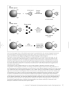 Practical Immunology 4th