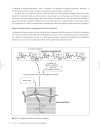 Practical Immunology 4th