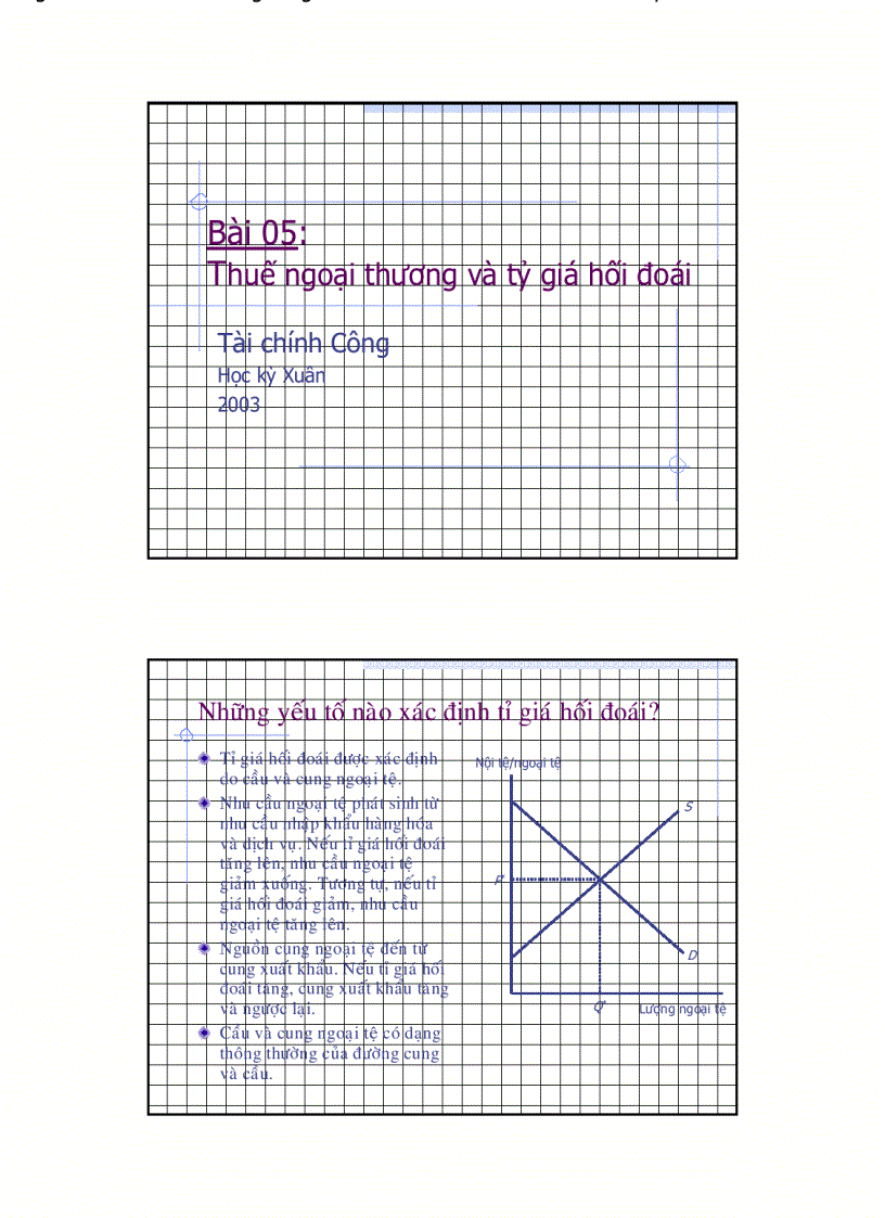 Thuế ngoại thương và tỷ giá hối đoái