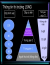 Chiến lược quản lý và phát triển LSNG