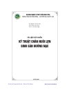 Giống lợn và kỹ thuật chọn lợn hậu bị