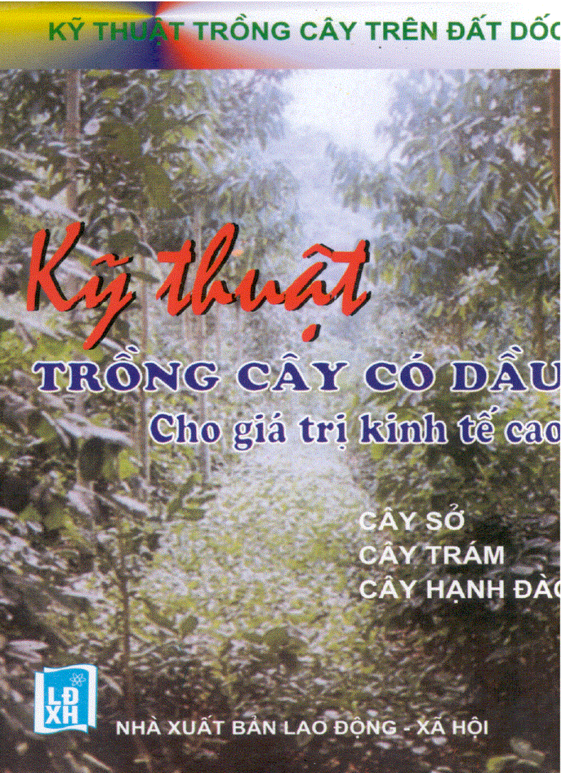 Kĩ thuật trồng cây có dầu cho giá trị kinh tế cao