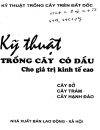 Kĩ thuật trồng cây có dầu cho giá trị kinh tế cao