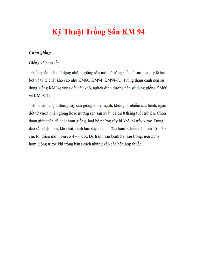 Kỹ Thuật Trồng Sắn KM 94