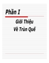 Kỹ thuật nuôi Trùn quế Giới Thiệu Về Trùn Quế